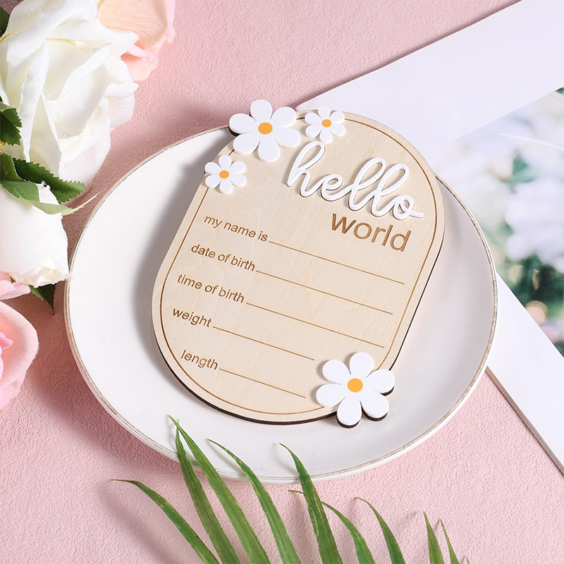 1Pcs Hello World Newborn Sign  - Photography Prompt avis et prix
