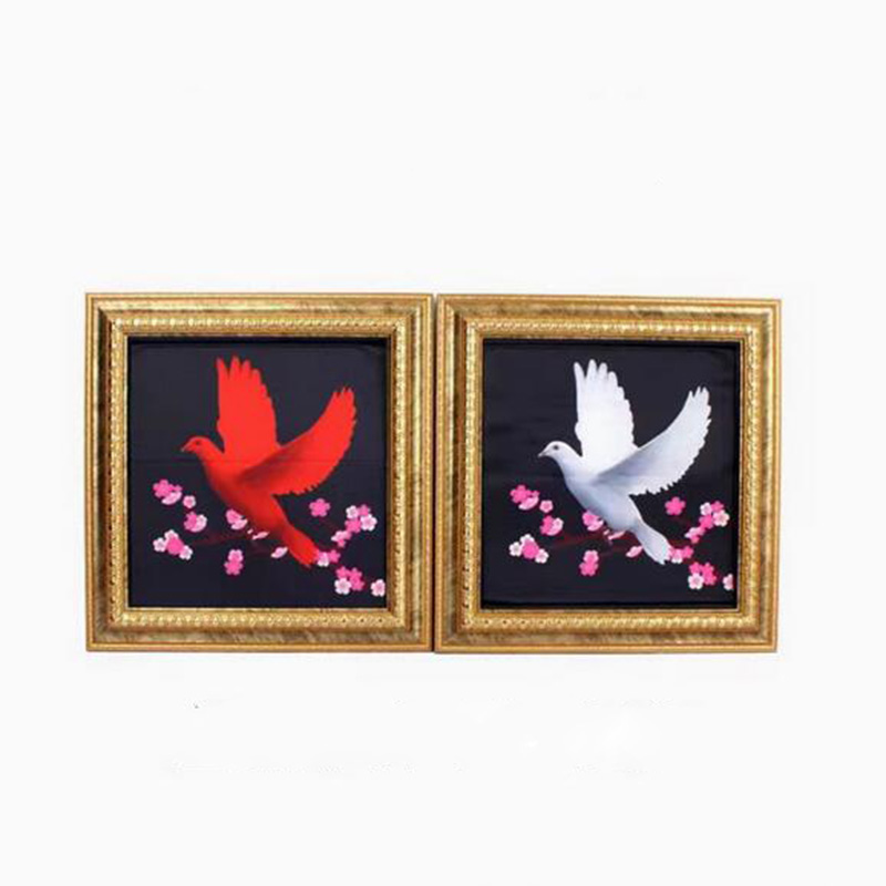 Deluxe Dove Frame Magic Tricks - Photography Trick avis et prix