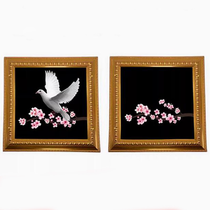 Deluxe Dove Frame Magic Tricks - Photography Trick avis et prix