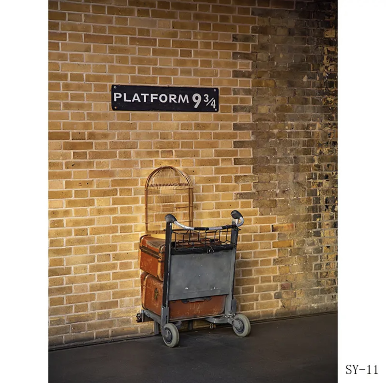 Platform 9 3/4 King railway St - Photography Trick avis et prix