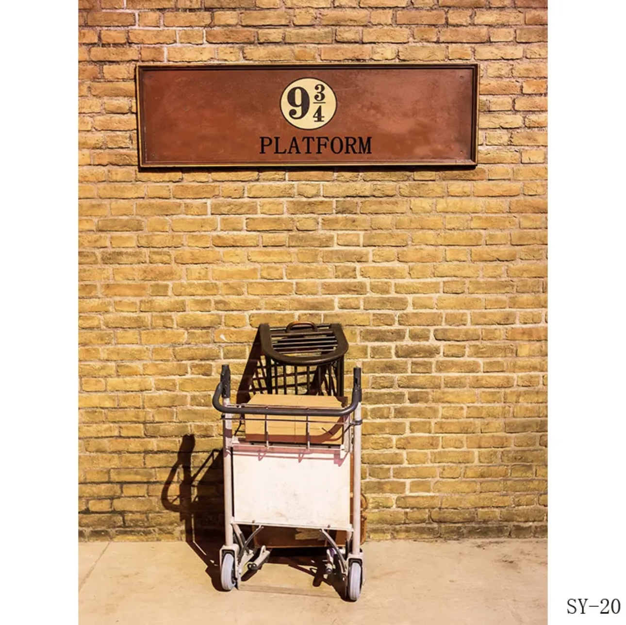 Platform 9 3/4 King railway St - Photography Trick avis et prix