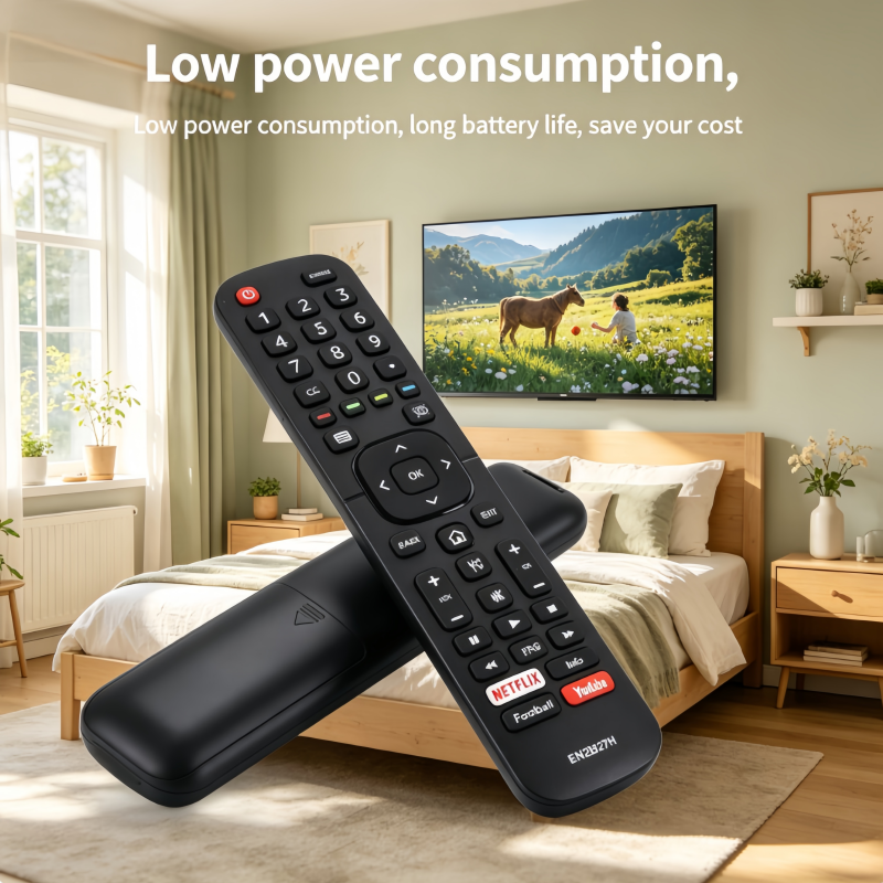 EN2BJ27H Replacement Remote Co - Photography Prompt avis et prix
